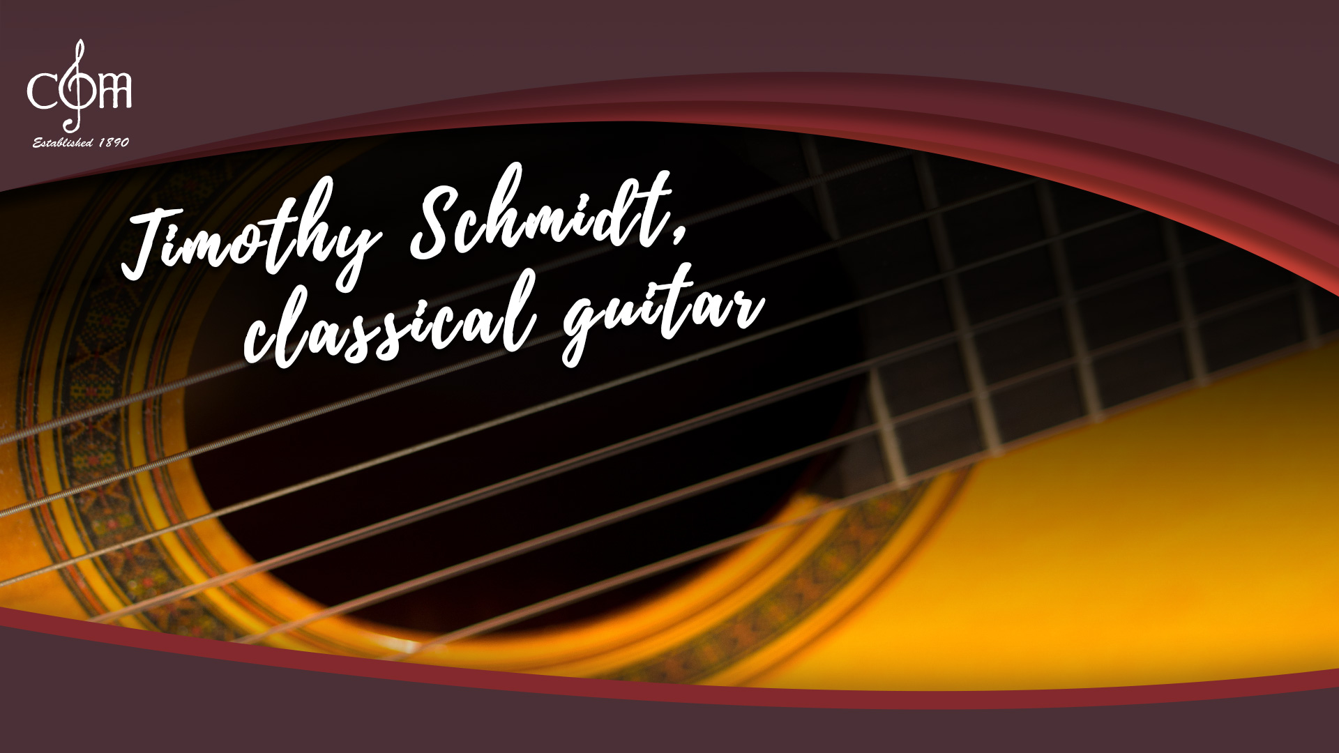 Timothy Schmidt, guitar